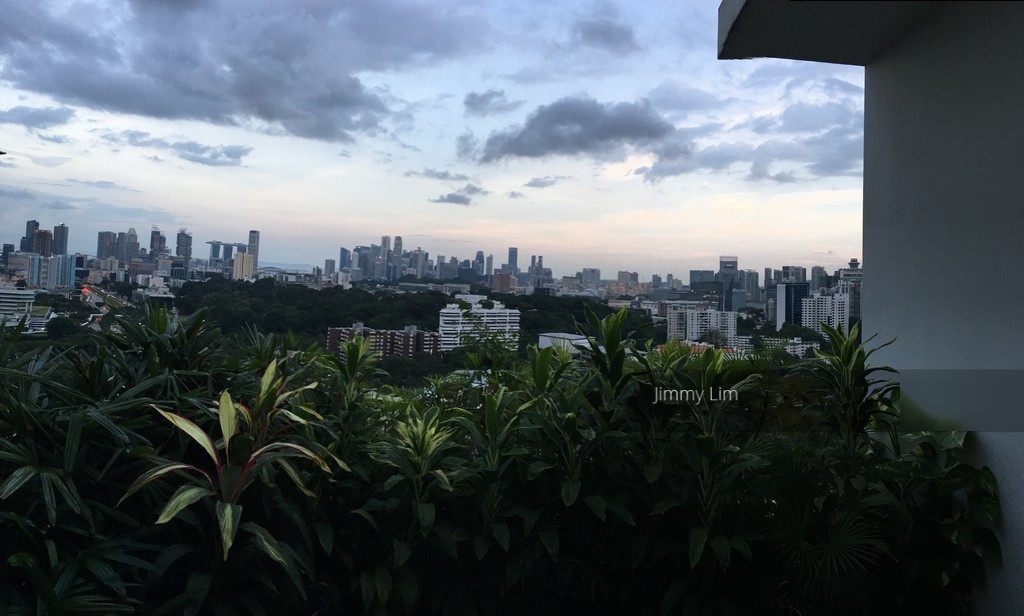 Rochelle At Newton (D11), Condominium #135538952